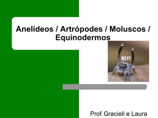 Anelídeos / Artrópodes / Moluscos /
Equinodermos
Prof. Gracieli e Laura
 