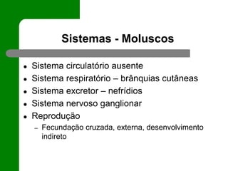 Sistemas - Moluscos
● Sistema circulatório ausente
● Sistema respiratório – brânquias cutâneas
● Sistema excretor – nefrídios
● Sistema nervoso ganglionar
● Reprodução
– Fecundação cruzada, externa, desenvolvimento
indireto
 