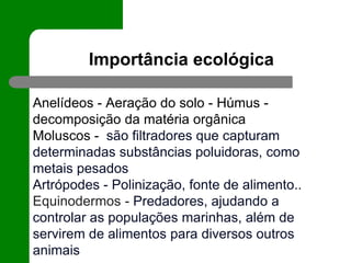 Importância ecológica
Anelídeos - Aeração do solo - Húmus -
decomposição da matéria orgânica
Moluscos - são filtradores que capturam
determinadas substâncias poluidoras, como
metais pesados
Artrópodes - Polinização, fonte de alimento..
Equinodermos - Predadores, ajudando a
controlar as populações marinhas, além de
servirem de alimentos para diversos outros
animais
 