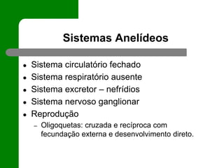 Sistemas Anelídeos
● Sistema circulatório fechado
● Sistema respiratório ausente
● Sistema excretor – nefrídios
● Sistema nervoso ganglionar
● Reprodução
– Oligoquetas: cruzada e recíproca com
fecundação externa e desenvolvimento direto.
 