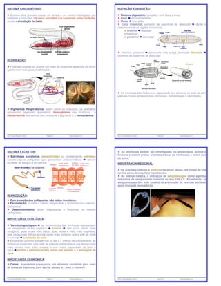 SISTEMA CIRCULATÓRIO:                                                     NUTRIÇÃO E DIGESTÃO:

  Existem dois grandes vasos, um dorsal e um ventral interligados por        Sistema digestório: completo, com boca e ânus.
capilares e conjuntos de vasos contráteis que funcionam como corações,       Papo armazenamento
sendo a circulação fechada.                                                  Moela trituração
                                                                              Ceco intestinal: aumento da superfície de absorção            divide o
                                                                          intestino em duas regiões funcionais:
                                                                                   anterior digestão
                                                                               extracelular
                                                                                  posterior absorção




                                                                            Intestino posterior    apresenta uma prega chamada tiflossole
                                                                          aumento da superfície de absorção.
RESPIRAÇÃO:

  Pode ser cutânea ou ocorrer por meio de projeções especiais do corpo
que formam brânquias modificadas.




                                                                            As minhocas são herbívoros capturando seu alimento no solo ao abrir
                                                                          galerias. Existe ainda animais carnívoros, hematófagos e necrófagos.



   Pigmentos Respiratórios: assim como os moluscos, os anelídeos
apresentam pigmento respiratório: hemoglobina nas minhocas       e
clorocruorina nos demais (em moluscos o pigmento é a hemocianina).




Ana Luisa Miranda Vilela       Página 5          www.bioloja.com          Ana Luisa Miranda Vilela      Página 6          www.bioloja.com




SISTEMA EXCRETOR:                                                           As minhocas podem ser empregadas na alimentação animal e
                                                                          humana (existem pratos orientais à base de minhocas) e como isca
   Estruturas excretoras: metanefrídeos ou simplesmente nefrídeos
                                                                          de peixe.
(exceto alguns poliquetas que apresentam protonefrídeos)   retiram
excretas do sangue e do celoma.                                           IMPORTÂNCIA MEDICINAL:

                                                                            Os orientais utilizam a minhoca há muito tempo, em forma de chá
                                                                          contra asma, bronquite e hipertensão.
                                                                             Na prática médica, a utilização de sanguessugas como agentes
                                                                          indutores de sangramento remonta ao ano 180 a.C. Atualmente, as
                                                                          sanguessugas têm sido usadas na prevenção de necrose tecidual,
                                                                          após cirurgias reparadoras.


REPRODUÇÃO:
  Com exceção dos poliquetos, são todos monóicos.
  Fecundação: cruzada e interna (oligoquetas e hirudíneos) ou externa
(poliquetas).
    Desenvolvimento: direto (oligoquetas e hirudínos) ou indireto
(poliquetas).

IMPORTÂNCIA ECOLÓGICA:

    Vermicompostagem         os excrementos das minhocas representam
um estupendo adubo orgânico          húmus       tem cinco vezes mais
nitrogênio, duas vezes mais cálcio, duas vezes e meia mais magnésio,
sete vezes mais fósforo e onze vezes mais potássio que o solo de onde
é extraído adubação do solo.
   Escavando próximo à superfície ou até a 2 metros de profundidade, as
minhocas constroem uma rede de galerias subterrâneas que deixa o solo
mais poroso, leve, solto, arejado e com maior capacidade de reter a
água     facilita a penetração das raízes das plantas e a drenagem da
água.

IMPORTÂNCIA ECONÔMICA:
  Carne: é proteína quase pura, um alimento excelente para aves
de todas as espécies, para as rãs, peixes e... para o homem!



Ana Luisa Miranda Vilela       Página 7          www.bioloja.com          Ana Luisa Miranda Vilela      Página 8          www.bioloja.com
 