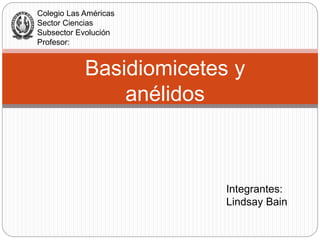 Basidiomicetes y
anélidos
Integrantes:
Lindsay Bain
Colegio Las Américas
Sector Ciencias
Subsector Evolución
Profesor:
 