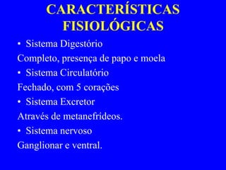 CARACTERÍSTICAS
        FISIOLÓGICAS
• Sistema Digestório
Completo, presença de papo e moela
• Sistema Circulatório
Fechado, com 5 corações
• Sistema Excretor
Através de metanefrídeos.
• Sistema nervoso
Ganglionar e ventral.
 