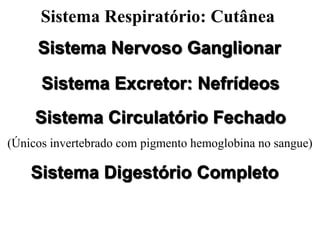 Sistema Respiratório: Cutânea
     Sistema Nervoso Ganglionar

      Sistema Excretor: Nefrídeos
     Sistema Circulatório Fechado
(Únicos invertebrado com pigmento hemoglobina no sangue)

    Sistema Digestório Completo
 