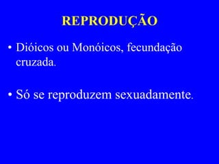 REPRODUÇÃO
• Dióicos ou Monóicos, fecundação
  cruzada.

• Só se reproduzem sexuadamente.
 