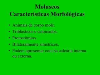Moluscos
Características Morfológicas
•   Animais de corpo mole.
•   Triblásticos e celomados.
•   Protostômios.
•   Bilateralmente simétricos.
•   Podem apresentar concha calcária interna
    ou externa.
 