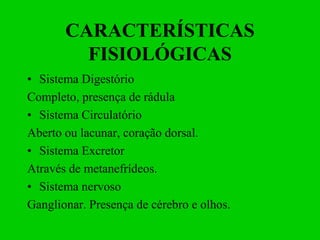 CARACTERÍSTICAS
         FISIOLÓGICAS
• Sistema Digestório
Completo, presença de rádula
• Sistema Circulatório
Aberto ou lacunar, coração dorsal.
• Sistema Excretor
Através de metanefrídeos.
• Sistema nervoso
Ganglionar. Presença de cérebro e olhos.
 