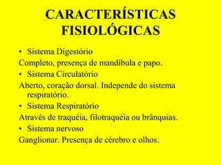 CARACTERÍSTICAS
         FISIOLÓGICAS
• Sistema Digestório
Completo, presença de mandíbula e papo.
• Sistema Circulatório
Aberto, coração dorsal. Independe do sistema
  respiratório.
• Sistema Respiratório
Através de traquéia, filotraquéia ou brânquias.
• Sistema nervoso
Ganglionar. Presença de cérebro e olhos.
 