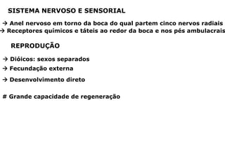 SISTEMA NERVOSO E SENSORIAL
 Anel nervoso em torno da boca do qual partem cinco nervos radiais
 Receptores químicos e táteis ao redor da boca e nos pés ambulacrais

   REPRODUÇÃO

 Dióicos: sexos separados
 Fecundação externa

 Desenvolvimento direto


# Grande capacidade de regeneração
 