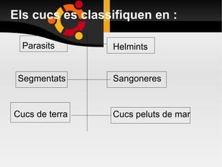 Els cucs es classifiquen en : Parasits Helmints Segmentats Sangoneres Cucs de terra Cucs peluts de mar 