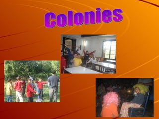 Colonies 
