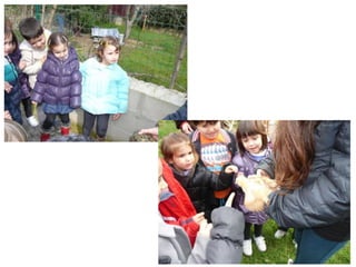 Anem a veure animals!