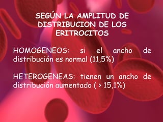 SEGÚN LA AMPLITUD DE DISTRIBUCION DE LOS ERITROCITOS HOMOGENEOS: si el ancho de distribución es normal (11,5%)  HETEROGENEAS: tienen un ancho de distribución aumentado ( > 15,1%) 