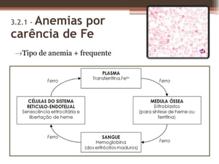 Medula óssea vermelha