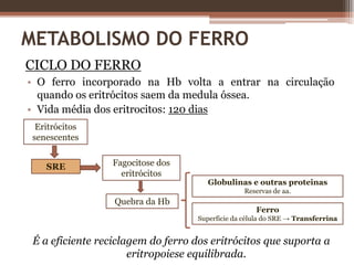 Capacidade funcional do eritron: