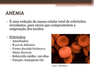 Endoscopia digestiva alta