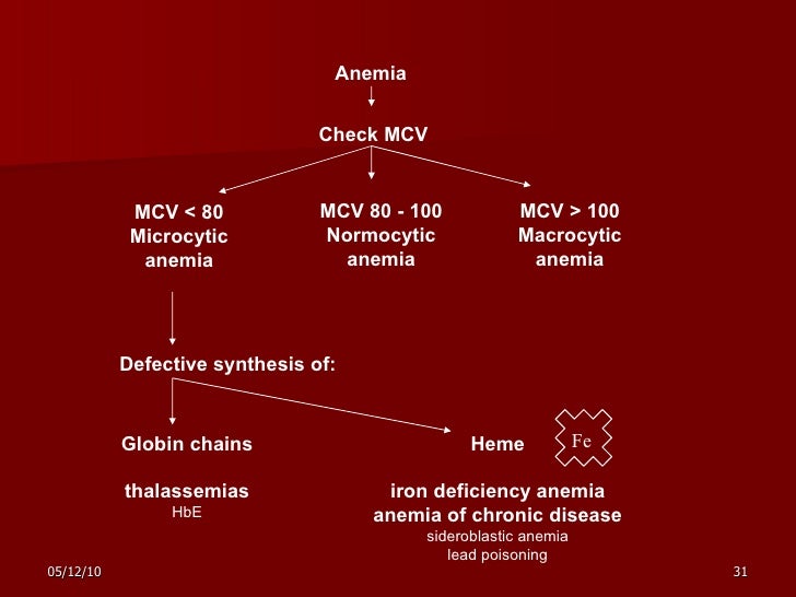 Anemia anemia