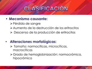 • Mecanismo causante:
   Pérdida de sangre
   Aumento de la destrucción de los eritrocitos
   Descenso de la producción...