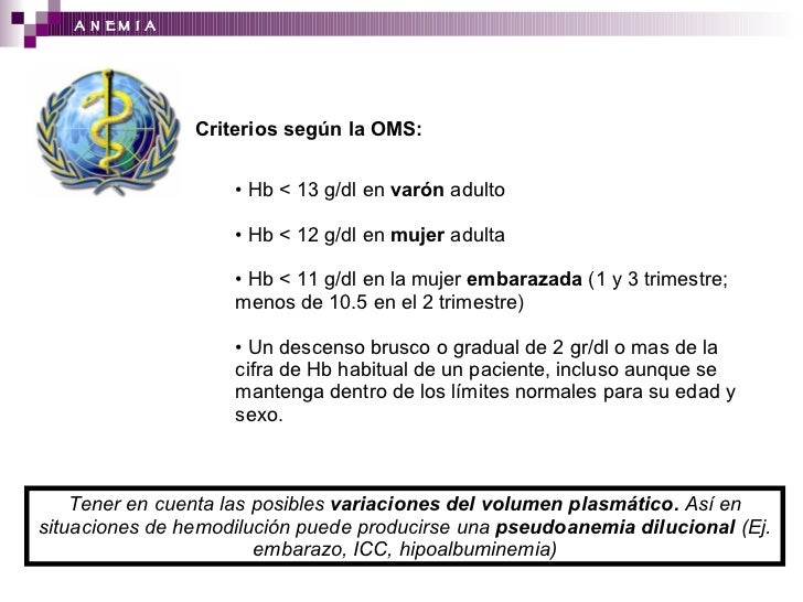 Anemia Del Embarazo En La Provincia De Concepción Chile
