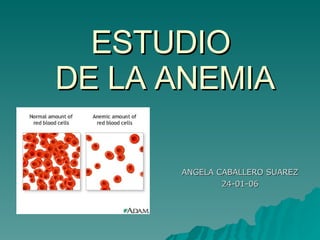 ESTUDIO  DE LA ANEMIA ANGELA CABALLERO SUAREZ 24-01-06 