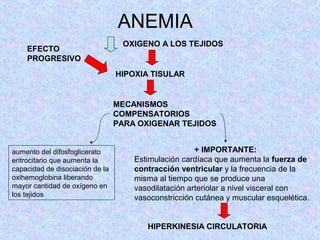 ANEMIA
OXIGENO A LOS TEJIDOS
HIPOXIA TISULAR
EFECTO
PROGRESIVO
MECANISMOS
COMPENSATORIOS
PARA OXIGENAR TEJIDOS
aumento del difosfoglicerato
eritrocitario que aumenta la
capacidad de disociación de la
oxihemoglobina liberando
mayor cantidad de oxígeno en
los tejidos
+ IMPORTANTE:
Estimulación cardíaca que aumenta la fuerza de
contracción ventricular y la frecuencia de la
misma al tiempo que se produce una
vasodilatación arteriolar a nivel visceral con
vasoconstricción cutánea y muscular esquelética.
HIPERKINESIA CIRCULATORIA
 
