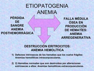 ETIOPATOGENIA
ANEMIA
PÉRDIDA
DE
SANGRE
ANEMIA
POSTHEMORRÁGICA
DESTRUCCIÓN ERITROCITOS:
ANEMIA HEMOLÍTICA
FALLA MÉDULA
ÓSEA EN
PRODUCCIÓN
DE HEMATÍES:
ANEMIA
ARREGENERATIVA
1) Defectos intrínsecos de los hematíes que los vuelve frágiles:
Anemias hemolíticas intracorpusculares.
2) 2) Hematíes normales que son destruidos por alteraciones
extrínsecas a ellos: Anemias hemolíticas extracorpusculares.
 