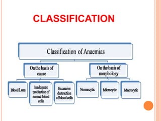 CLASSIFICATION
 