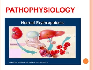 PATHOPHYSIOLOGY
 