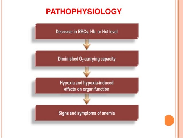Anemia Pathophysiology Flow Chart
