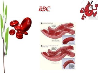 anemia-140408050251-phpapp02-y0go82.pptx | Blood Disorders | Diseases ...