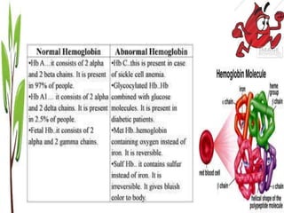 Mean corpuscular hemoglobin concentration
(MCHC)
measure of the concentration of Hb in a given
volume of packed RBCs.
32 t...
