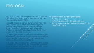 ETIOLOGÍA
Muchas partes del cuerpo ayudan a producir
glóbulos rojos, la mayor parte del trabajo se
hace en la médula ósea.
Los glóbulos rojos sanos duran entre 90 y 120
días. Partes del cuerpo eliminan luego las
células sanguíneas viejas. Una hormona
llamada eritropoyetina producida en los
riñones le da la señal a la médula ósea para
producir más glóbulos rojos.
La hemoglobina es la proteína que transporta
el oxígeno dentro de los glóbulos rojos y les da
su color rojo. Las personas con anemia no
tienen suficiente hemoglobina.
El cuerpo necesita ciertas vitaminas, minerales
y nutrientes para producir suficientes glóbulos
rojos. El hierro, la vitamina B12 y el ácido fólico
son tres de los más importantes
La anemia tiene 3 causa principales:
• Pérdida de sangre
• Falta de producción de glóbulos rojos
• Aumento en la velocidad de destrucción de
los glóbulos rojos
 