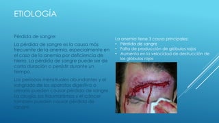 ETIOLOGÍA
Pérdida de sangre:
La pérdida de sangre es la causa más
frecuente de la anemia, especialmente en
el caso de la anemia por deficiencia de
hierro. La pérdida de sangre puede ser de
corta duración o persistir durante un
tiempo.
Los períodos menstruales abundantes y el
sangrado de los aparatos digestivo o
urinario pueden causar pérdida de sangre.
La cirugía, los traumatismos y el cáncer
también pueden causar pérdida de
sangre.
La anemia tiene 3 causa principales:
• Pérdida de sangre
• Falta de producción de glóbulos rojos
• Aumento en la velocidad de destrucción de
los glóbulos rojos
 