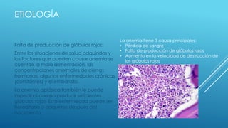 ETIOLOGÍA
Falta de producción de glóbulos rojos:
Entre las situaciones de salud adquiridas y
los factores que pueden causar anemia se
cuentan la mala alimentación, las
concentraciones anormales de ciertas
hormonas, algunas enfermedades crónicas
(constantes) y el embarazo.
La anemia aplásica también le puede
impedir al cuerpo producir suficientes
glóbulos rojos. Esta enfermedad puede ser
hereditaria o adquirirse después del
nacimiento.
La anemia tiene 3 causa principales:
• Pérdida de sangre
• Falta de producción de glóbulos rojos
• Aumento en la velocidad de destrucción de
los glóbulos rojos
 