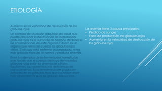 ETIOLOGÍA
Aumento en la velocidad de destrucción de los
glóbulos rojos:
Un ejemplo de situación adquirida de salud que
puede provocar la destrucción de demasiados
glóbulos rojos es el aumento de tamaño del bazo o
las enfermedades de este órgano. El bazo es un
órgano que retira del cuerpo los glóbulos rojos
viejos. Si el bazo está enfermo o agrandado, retira
más glóbulos rojos de lo normal y produce anemia.
Entre los ejemplos de enfermedades hereditarias
que hacen que el cuerpo destruya demasiados
glóbulos rojos están la anemia de células
falciformes, las talasemias y la deficiencia de
ciertas enzimas. Estas enfermedades producen
defectos en los glóbulos rojos que los hacen morir
más rápidamente que los glóbulos rojos sanos.
La anemia tiene 3 causa principales:
• Pérdida de sangre
• Falta de producción de glóbulos rojos
• Aumento en la velocidad de destrucción de
los glóbulos rojos
 