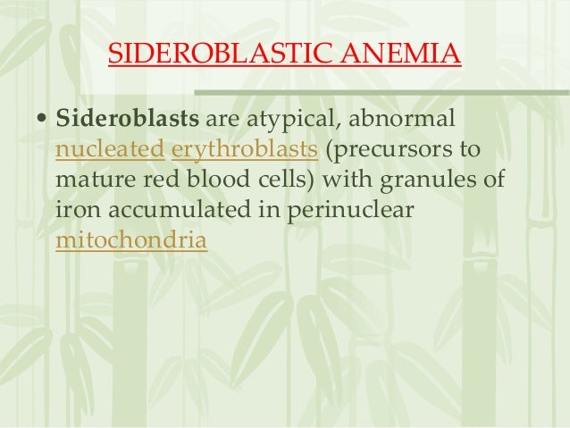 test hb blood Anemia anukannan by