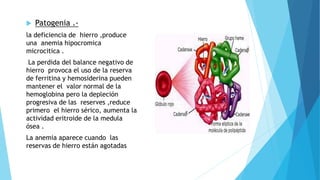  Patogenia .- 
la deficiencia de hierro ,produce 
una anemia hipocromica 
microcitica . 
La perdida del balance negativo de 
hierro provoca el uso de la reserva 
de ferritina y hemosiderina pueden 
mantener el valor normal de la 
hemoglobina pero la depleción 
progresiva de las reserves ,reduce 
primero el hierro sérico, aumenta la 
actividad eritroide de la medula 
ósea . 
La anemia aparece cuando las 
reservas de hierro están agotadas 
 