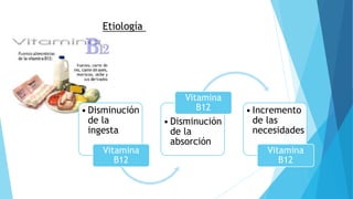 Etiología 
• Disminución 
de la 
ingesta 
Vitamina 
B12 
Vitamina 
B12 • Incremento 
• Disminución 
de la 
absorción 
de las 
necesidades 
Vitamina 
B12 
 