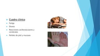  Cuadro clínico 
 Fatiga 
 Disnea 
 Reacciones cardiovasculares y 
cerebrales 
 Palidez de piel y mucosas 
 