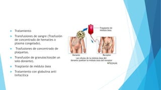  Tratamiento 
 Transfusiones de sangre (Trasfusión 
de concentrado de hematíes o 
plasma congelado). 
 Trasfusiones de concentrado de 
plaquetas. 
 Transfusión de granulocitos(de un 
solo donante). 
 Trasplante de médula ósea 
 Tratamiento con globulina anti 
linfocítica 
 