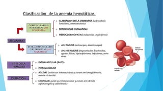 Clasificación de la anemia hemolíticas 
 