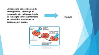 Al reduce la concentración de 
hemoglobina, Disminuye el 
transporte del oxígeno a través 
de la sangre consecuentemente 
se reducirá el suministro de 
oxígeno en el cuerpo. 
Hipoxia 
 