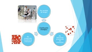 Por perdida 
de sangre 
Clasificación 
etiológica 
Por 
deficiente 
producción 
de 
eritrocitos 
Por 
producción 
excesiva de 
eritrocitos 
 