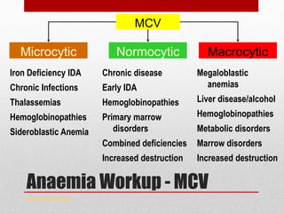 Anaemia Workup - MCV
www.drsarma.in
Microcytic
MCV
Normocytic Macrocytic
Iron Deficiency IDA
Chronic Infections
Thalassemias
Hemoglobinopathies
Sideroblastic Anemia
Chronic disease
Early IDA
Hemoglobinopathies
Primary marrow
disorders
Combined deficiencies
Increased destruction
Megaloblastic
anemias
Liver disease/alcohol
Hemoglobinopathies
Metabolic disorders
Marrow disorders
Increased destruction
 