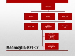 Macrocytic: RPI < 2
B12/Folate
B12 Low Normal
MMA High
MMA
Homocysteine
Normal
Consider
Liver, Renal,
Thyroid,
Alcohol,
Chronic dis.
Consider
Bone Marrow
Bx
Homocysteine
High
Folate Low
 