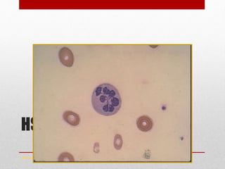 HSN - MBA
www.drsarma.in
 