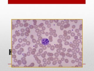 HSN - MBA
www.drsarma.in
 