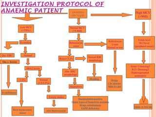 INVESTIGATION PROTOCOL OF
ANAEMIC PATIENT High MCV
(>99fl)
Normal MCV
(75-99fl)
Low MCV
(<75FL)
ANAEMIA
(Hb<11g/dl)
Dec s. ferritin
Dec TIBC
Fe studies
>3.5%
HbA2 levels
Normal
Alfa thalassaemiaBeta thalassemia
minor
Family studies
Normal
(1.5-3.5%)
Abn. RBC
morphology
Retics>2-3%
Reticulocyte
Count
Normal or low
Reticulocyte
count
Haemolysis
Normal RBC
morphology
folate<3.4microg/l
B12<20microg/l
Hypersegmented
neutrophils
Folate level
B12 level
(peripheral smear)
Haemoglobinopathies
Other types of hemolytic anaemia
Drugs autoimmune
G6PD deficiency
Drugs
Chr disease
Mild Fe def
Folate or b12 def
bleeding
Fe deficiency
 