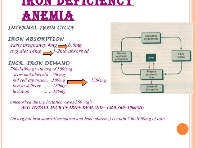 Diet Anaemia In Pregnancy