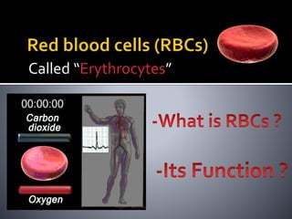 Called “Erythrocytes”
 